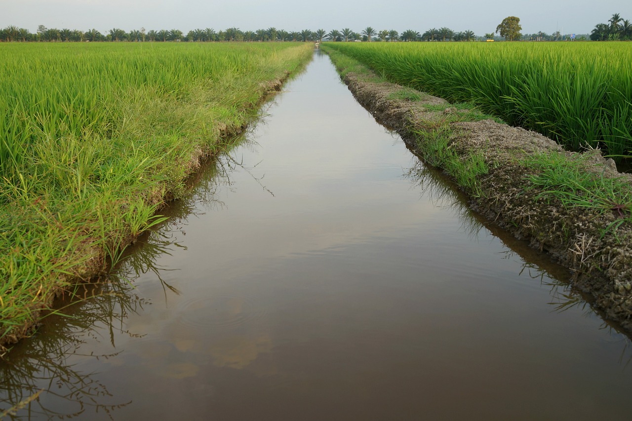 image of a farm